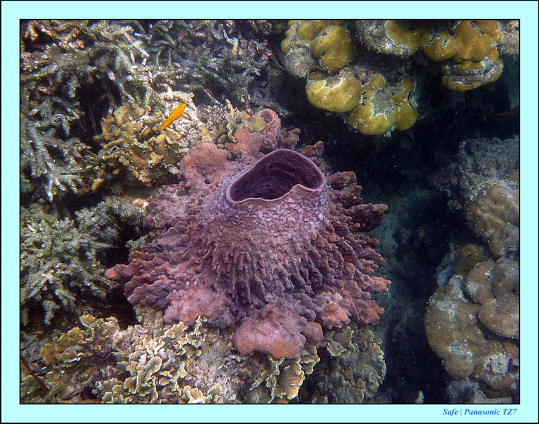 2011 - 03 - Koh Kradan 044